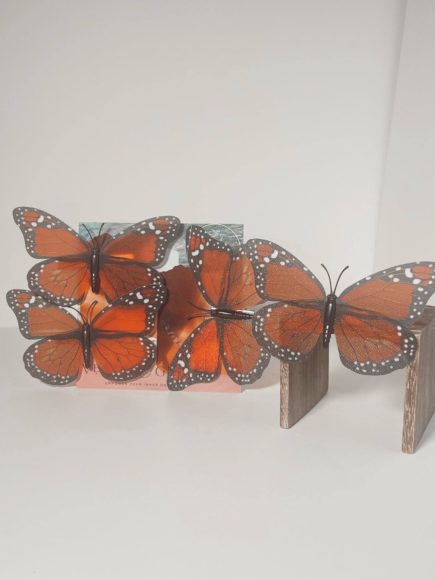 Monarch Clips